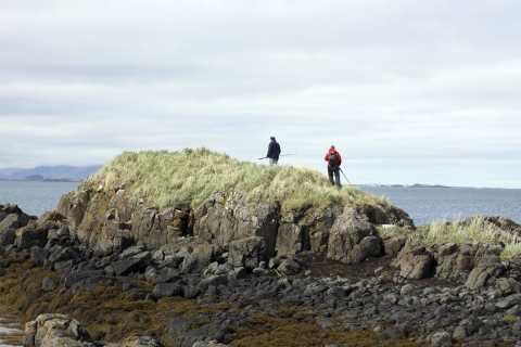 Æðarfuglamerkingar í Helgaskeri í Rifgirðingum