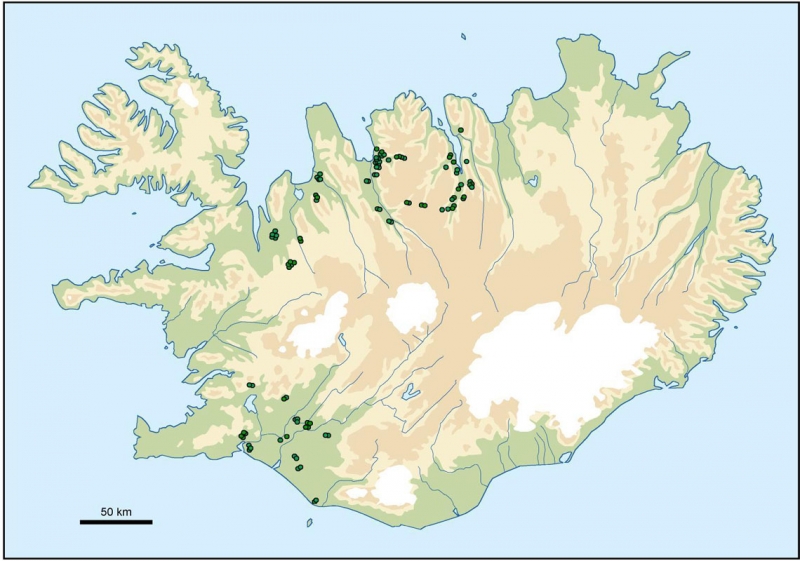 Mælireitur, Mælireitir í högum á Norður- og Suðurlandi