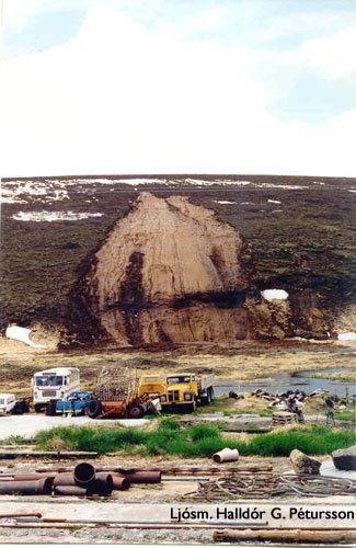 Garðsnúpur í Aðaldal, 1995