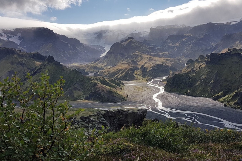 Birkiskógar og kjarr hafa breiðst út á Þórsmerkursvæðinu á síðustu árum. Hefur flatarmál skóga fjórfaldast síðan 1960.