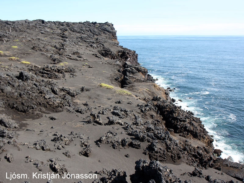 Sprungur í hrauni í Surtsey