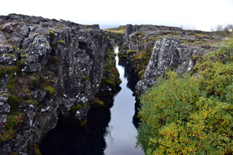 Frá Þingvöllum